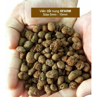 Đất trồng sen đá viên đất nung đá perlite đá nham thạch