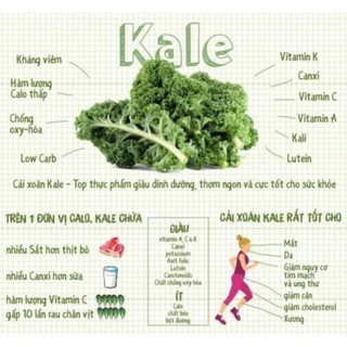 Mì cải kale hữu cơ Isito