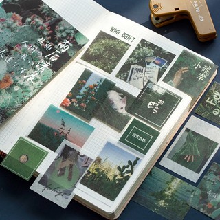 Set 20 sticker phong cảnh cây lá.