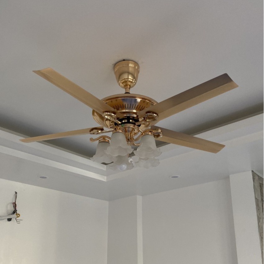 Quạt Trần Đèn 5 Cánh Thép Không Gỉ 2645, Quạt Trần Trang Trí Phòng Khách/Điều Khiển Từ Xa