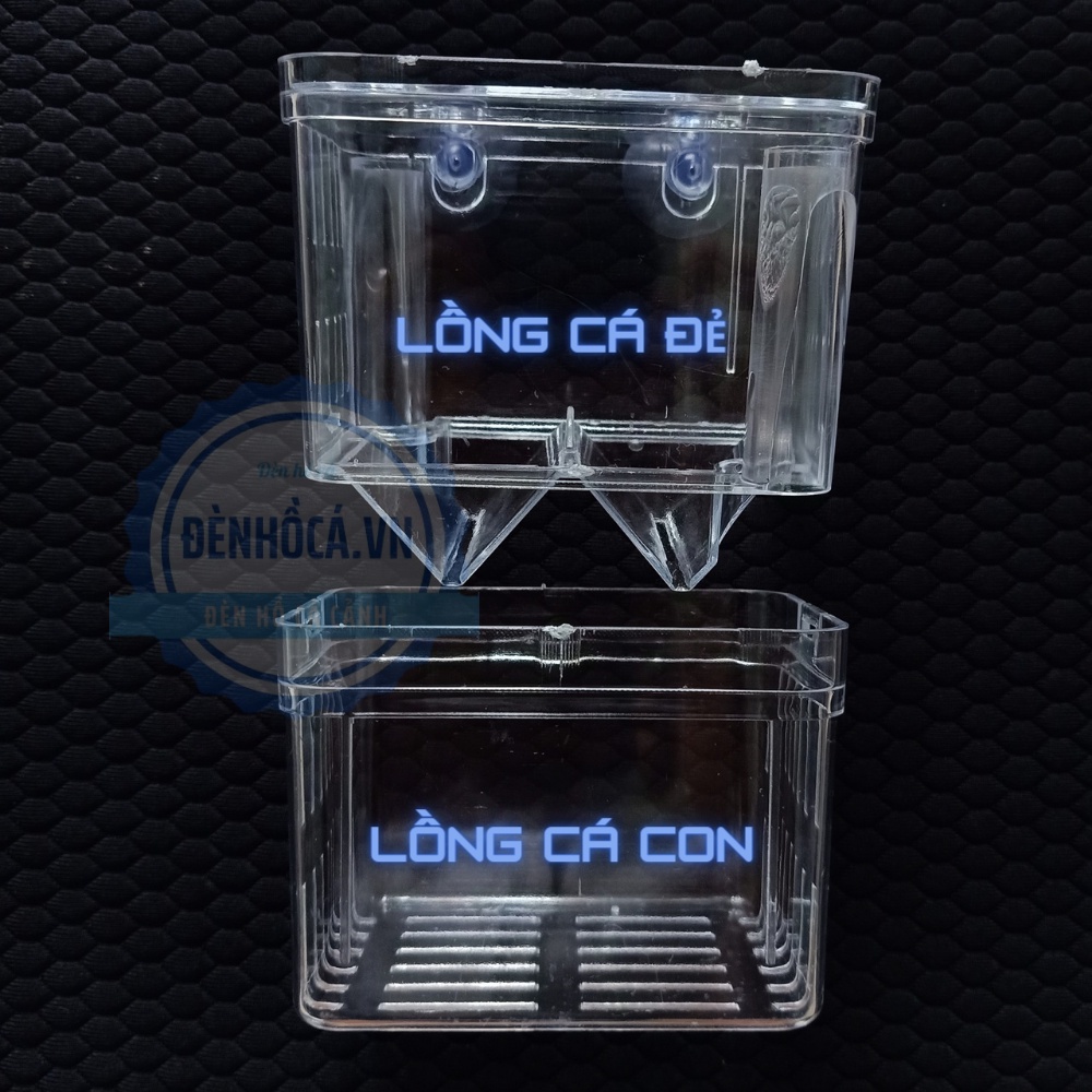 Lồng đẻ cho cá cảnh bằng mica
