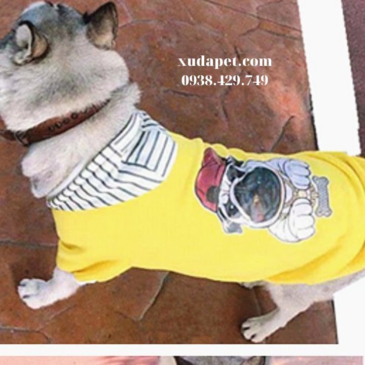 ÁO HOODIE VÀNG  SIÊU NGẦU HÌNH CHÓ PUG NÓN SỌC CHO CHÓ LỚN - SP000597