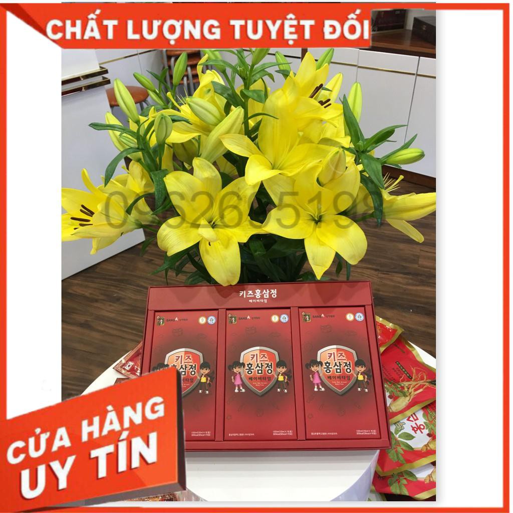Nước Hồng Sâm Baby SANGA Hàn Quốc hộp màu đỏ 30 gói - 10ml