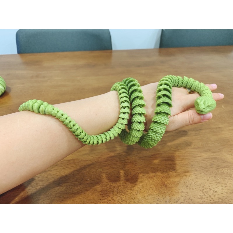 MÔ HÌNH RẮN IN CÔNG NGHỆ 3D