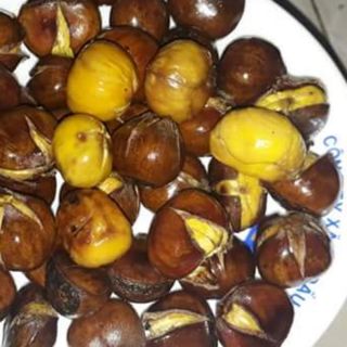 Hạt dẻ lòng vàng cao nguyên đá