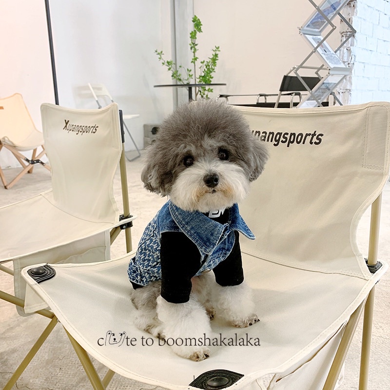 ÁO KHOÁC JEAN NY CỤT TAY CHO CHÓ MÈO