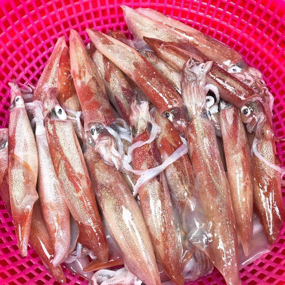 Mực Trứng size 12-13 con/Trứng tự nhiên, tươi, ngọt/ vỉ 500g. Giao Ngay trong 1-2 giờ Tp. Vinh - Nghệ An
