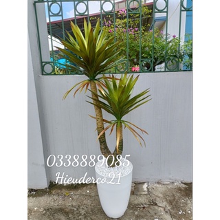 Cây giả - Cây phát tài núi, cây huyết rồng 2 nhánh cao 1.4m derco trang trí cực đẹp, ảnh thật ạ.
