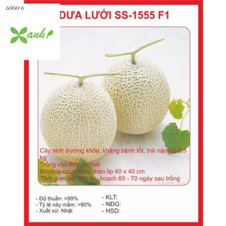 Hạt giống Dưa Lưới Tròn 10 Hạt
