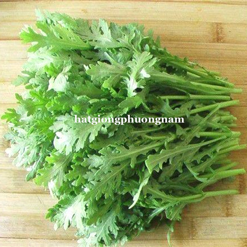 20GR - HẠT GIỐNG RAU TẦN Ô