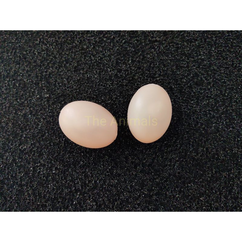 Trứng chim bồ câu giả - Trứng nước hồng set 100 cái