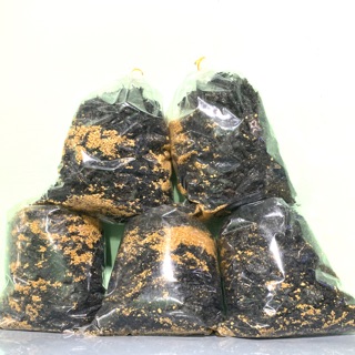 5kg rong biển cháy tỏi🌶hàng xá