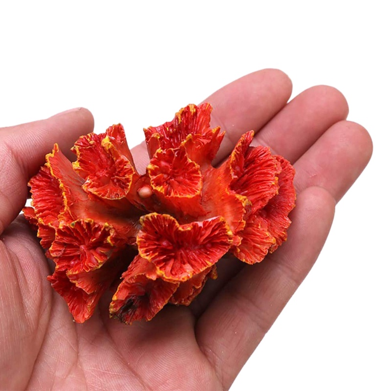 San Hô Giả Nhiều Màu Trang Trí Bể Cá