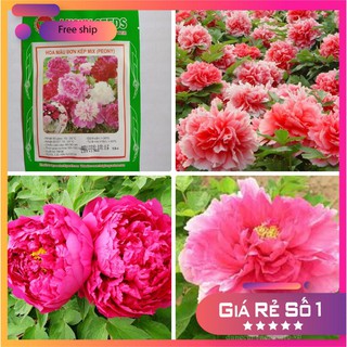 Hạt Giống Hoa Mẫu Đơn Kép Mix ( Gói 05 Hạt) LUCKY.VN