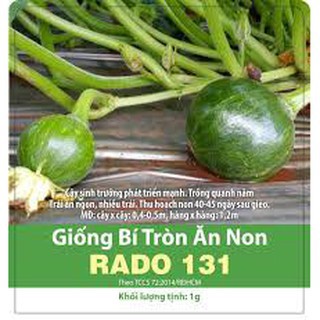 Hạt Giống Bí Tròn Ăn Non Rado 131 Rạng Đông, Sinh trưởng Mạnh, Trồng Quanh Năm, Thu Sau 40_45 Ngày, Nhiều Trái