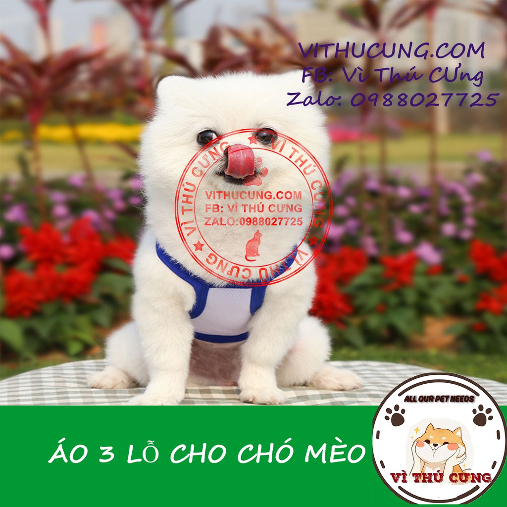 Áo 3 lỗ cho chó mèo