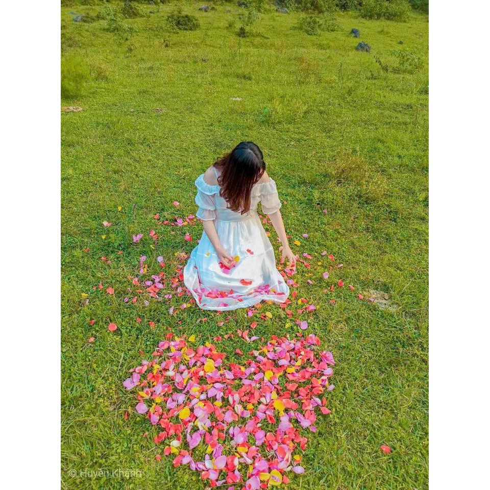 [Mã FAGREEN245 giảm 10% tối đa 30K đơn 99K] [CÓ FEEDBACK] Váy công chúa trễ vai ren ulzzang - V15 - jannahouse | BigBuy360 - bigbuy360.vn