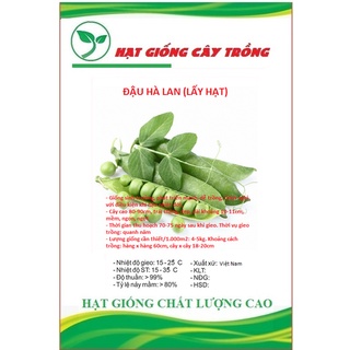 Hạt giống đậu hà lan ct152 - gói 20gram