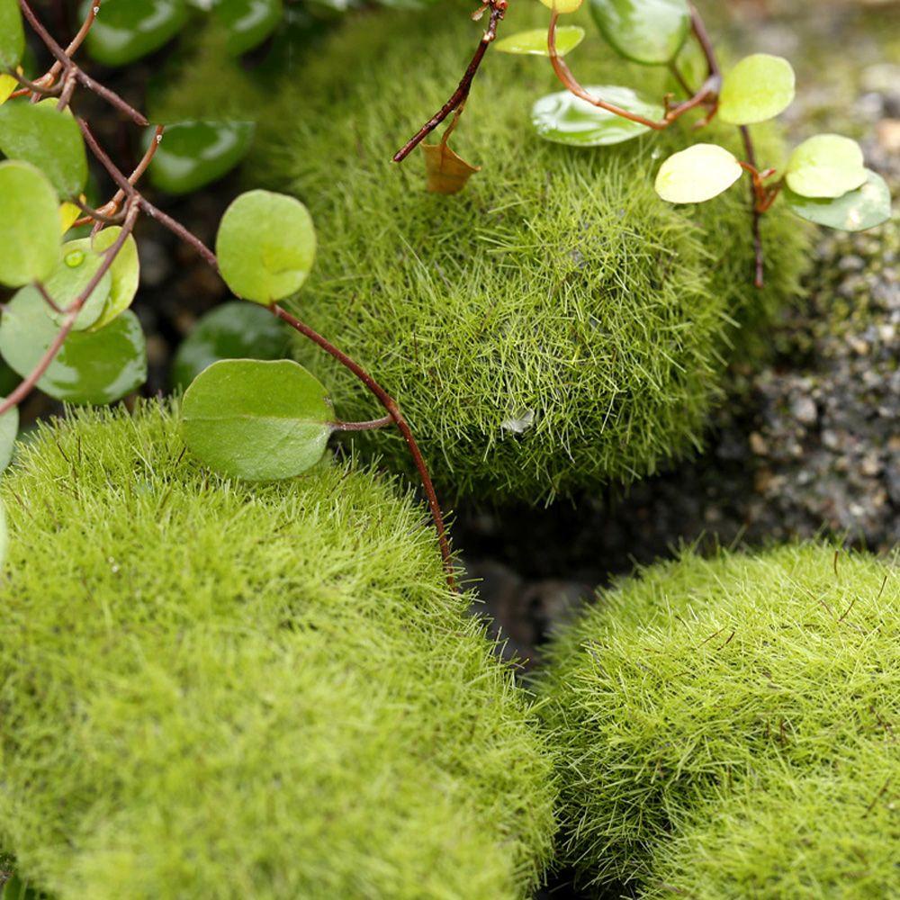 Rêu Nhân Tạo Trang Trí Nội Thất Đẹp Mắt|Thảm Lót Sàn Trang Trí Nhà Cửa