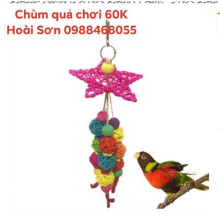 Chùm quả chơi cho Vẹt