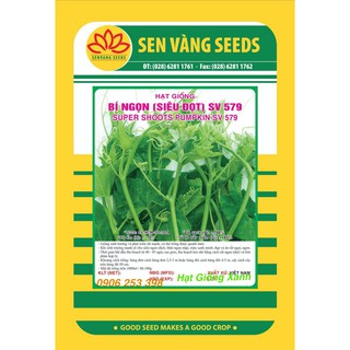 Gói 10g hạt giống bí ngọn siêu đọt sv 579 dễ trồng năng suất cao