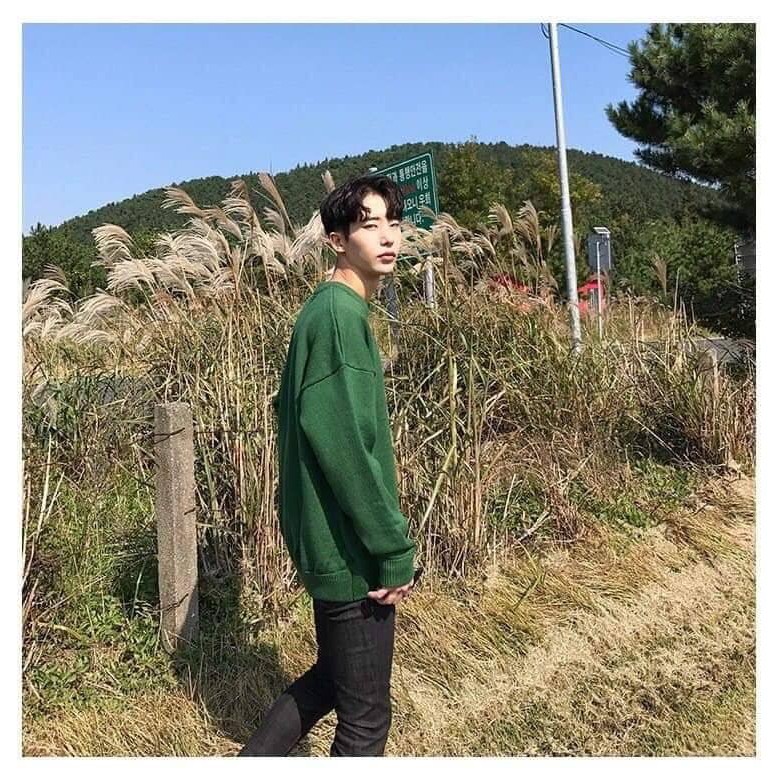 [Kèm hình thật] Sweater nỉ xanh rêu basic unisex