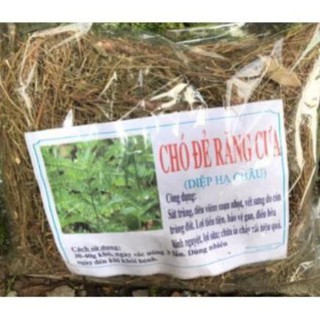 Diệp hạ châu khô( chó đẻ răng cưa) 1kg.