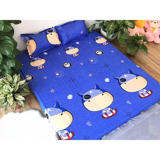 SÉT GA GỐI POLY COTTON XUÁT HÀN
