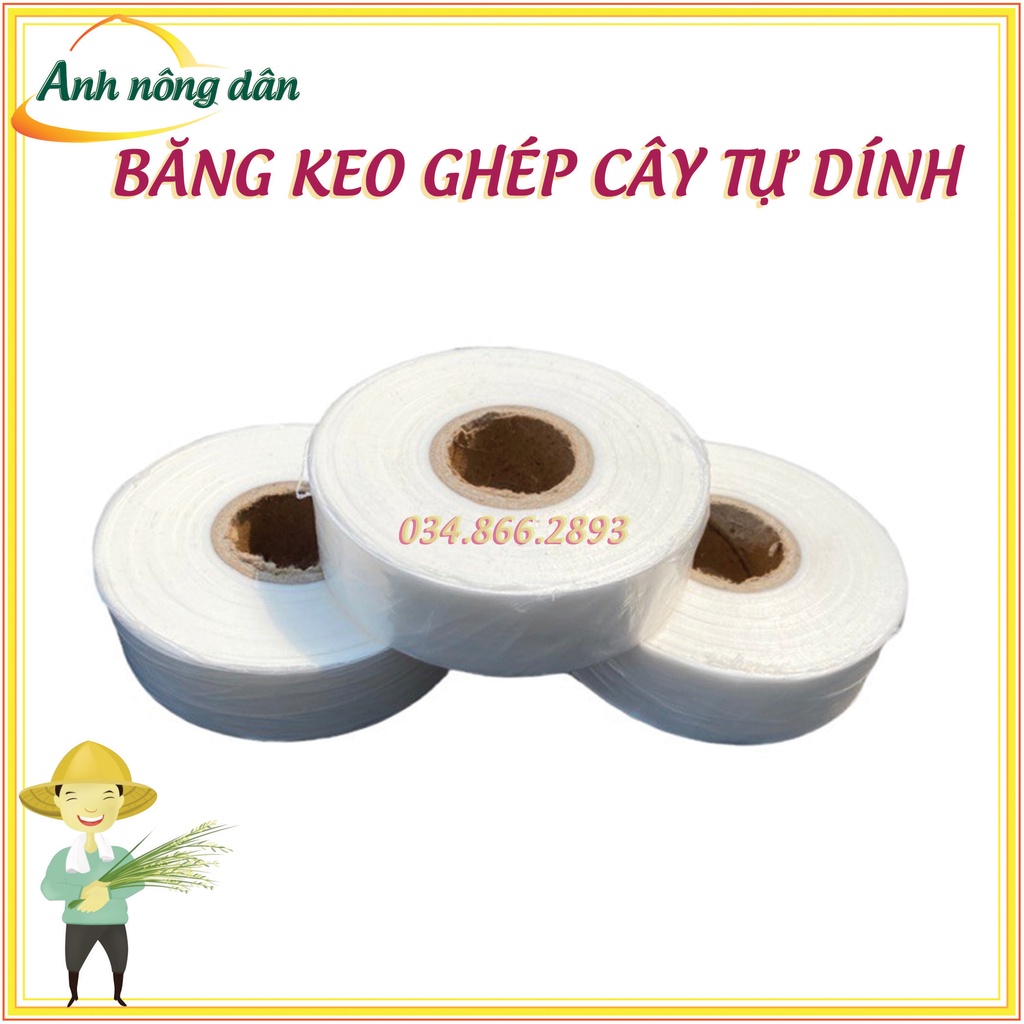Băng dính ghép cây tự hủy - khổ 3 cm - dùng cho ghép cành, ghép tán, tạo dáng cây cảnh
