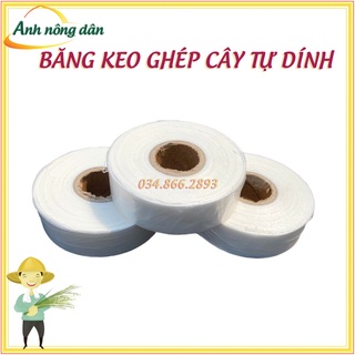 Băng dính ghép cây tự hủy - khổ 3 cm - dùng cho ghép cành, ghép tán, tạo dáng cây cảnh