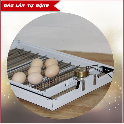 Khay Đảo Trứng Tự Động