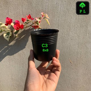 Combo 10 chậu nhựa đen C3 loại dày nhất