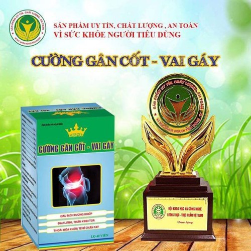 Cường gân cốt – Vai gáy Kingphar hỗ trợ trị đau mỏi xương khớp (Lọ 40v) (Việt Nam)