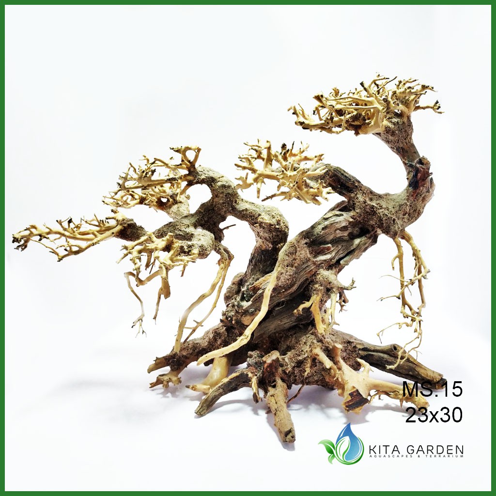 Bonsai Driftwood | kích thước 23x30 | Lũa Bonsai trang trí hồ cá thủy sinh | inbox để chọn cây thực tế