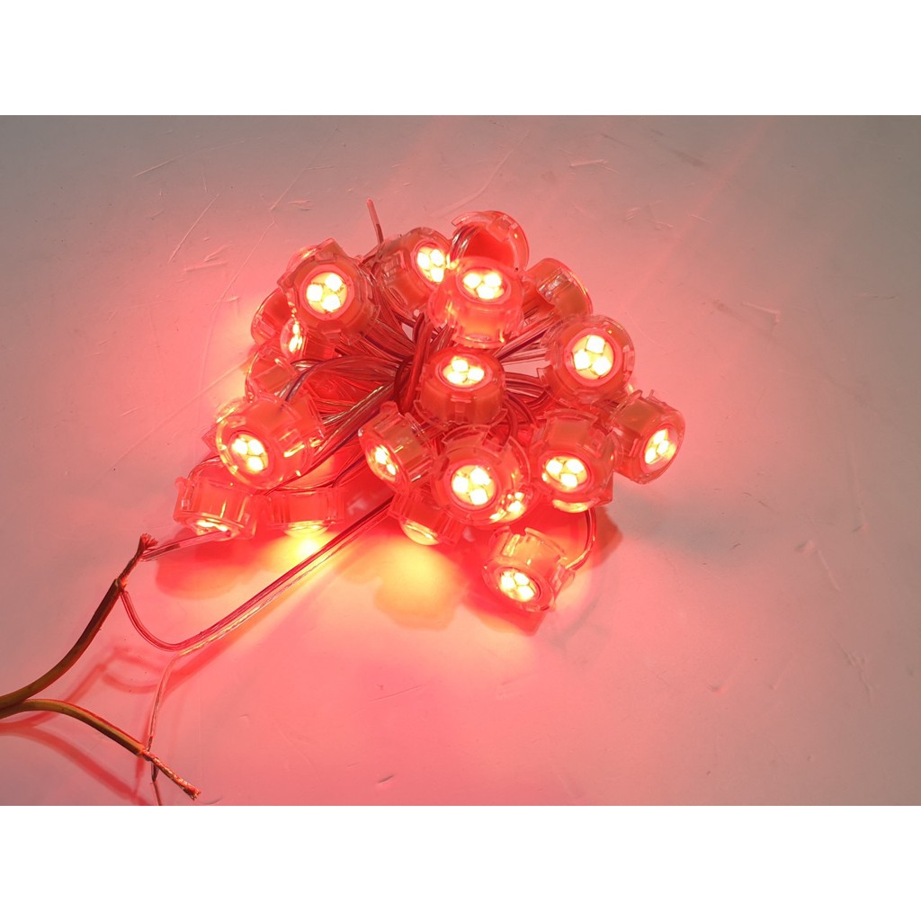 100 Bóng LED Đúc F20MM Full Màu 12V IC 1908