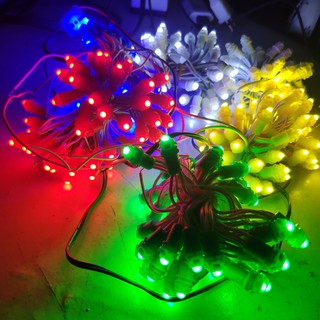 Dây led đúc trang trí chống nước F5 12v 50 bóng dài 3m trang trí nhà cửa , cây cối , quán cà phê dùng điện 12v