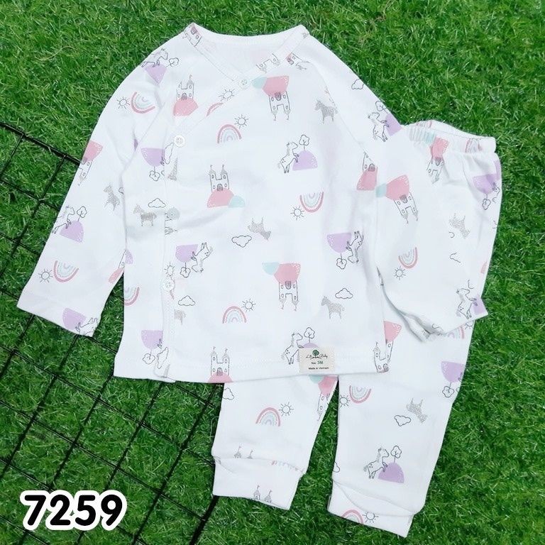 Bộ Dài Tay Bé Gái Cài Nút Cho Bé Từ 3-11KG