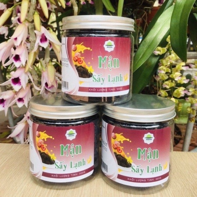 Mận Sấy Lạnh MaikaFood 300gr