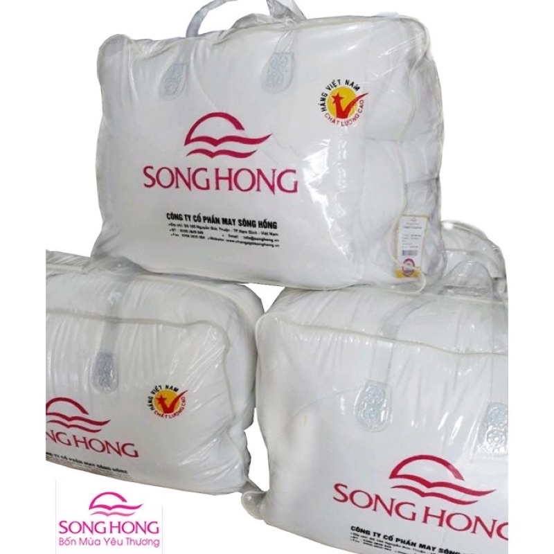 Ruột chăn đông Sông Hồng - loại dày