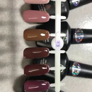 Combo sơn as + gel cọ net