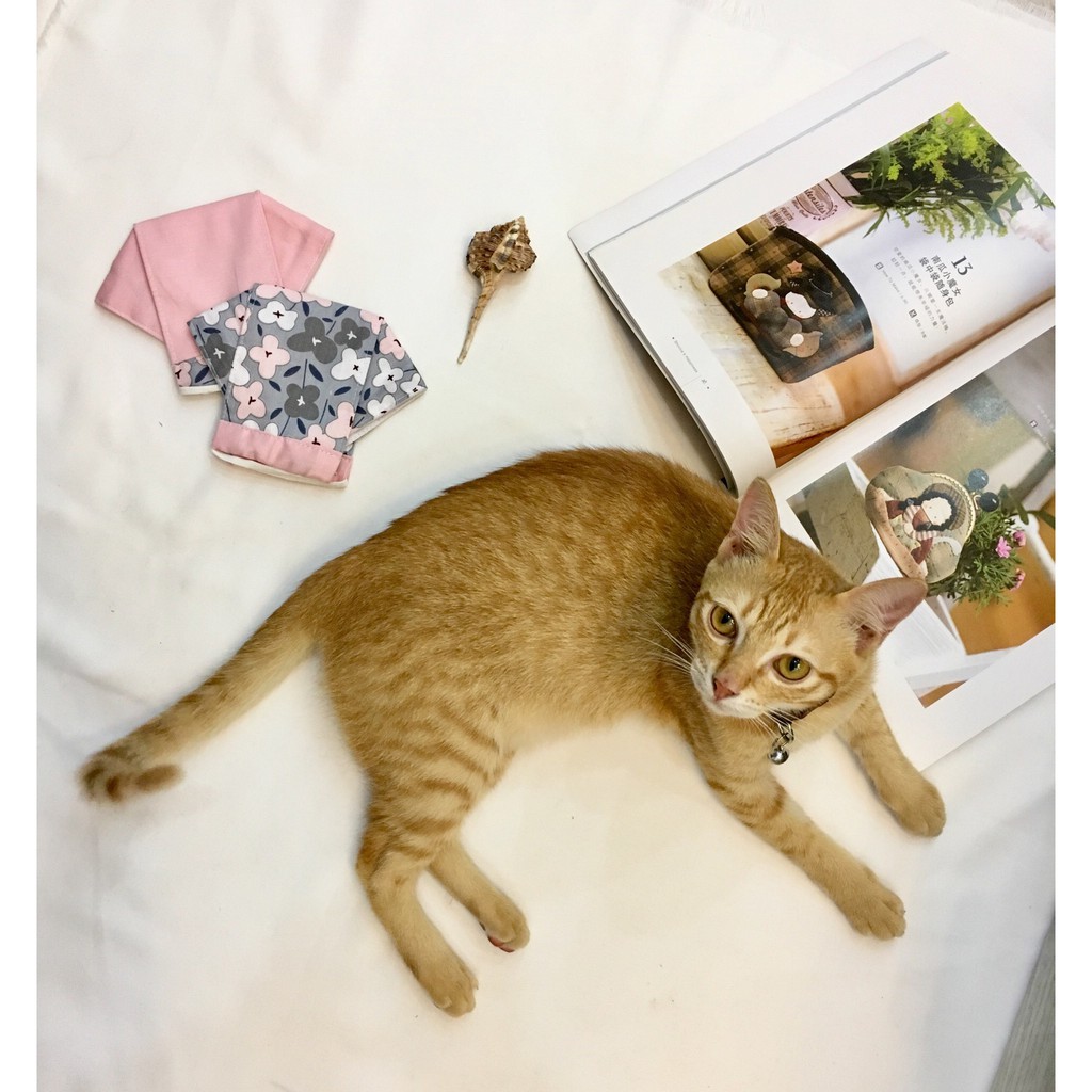 Set khẩu trang người lớn 2 cái | BigBuy360 - bigbuy360.vn
