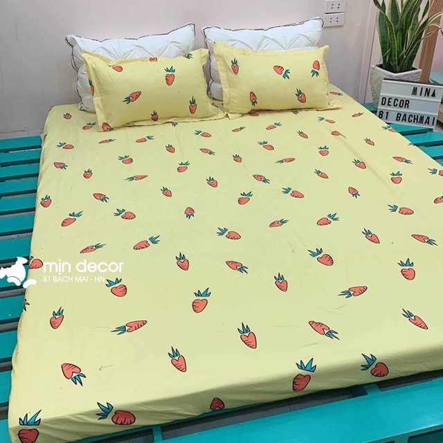 Combo 2 bộ ga 3 món 1m6x2m và 1 đôi vỏ gối