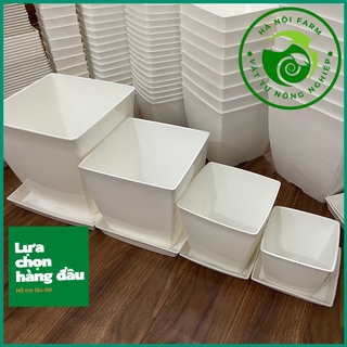 Chậu nhựa vuông trồng cây văn phòng đủ size từ 9 - 25cm kèm đĩa