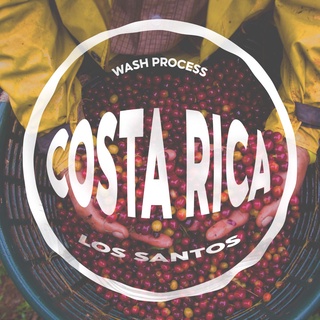 Cà phê nhân xanh grean bean costa rica los santos wash process - 1kg