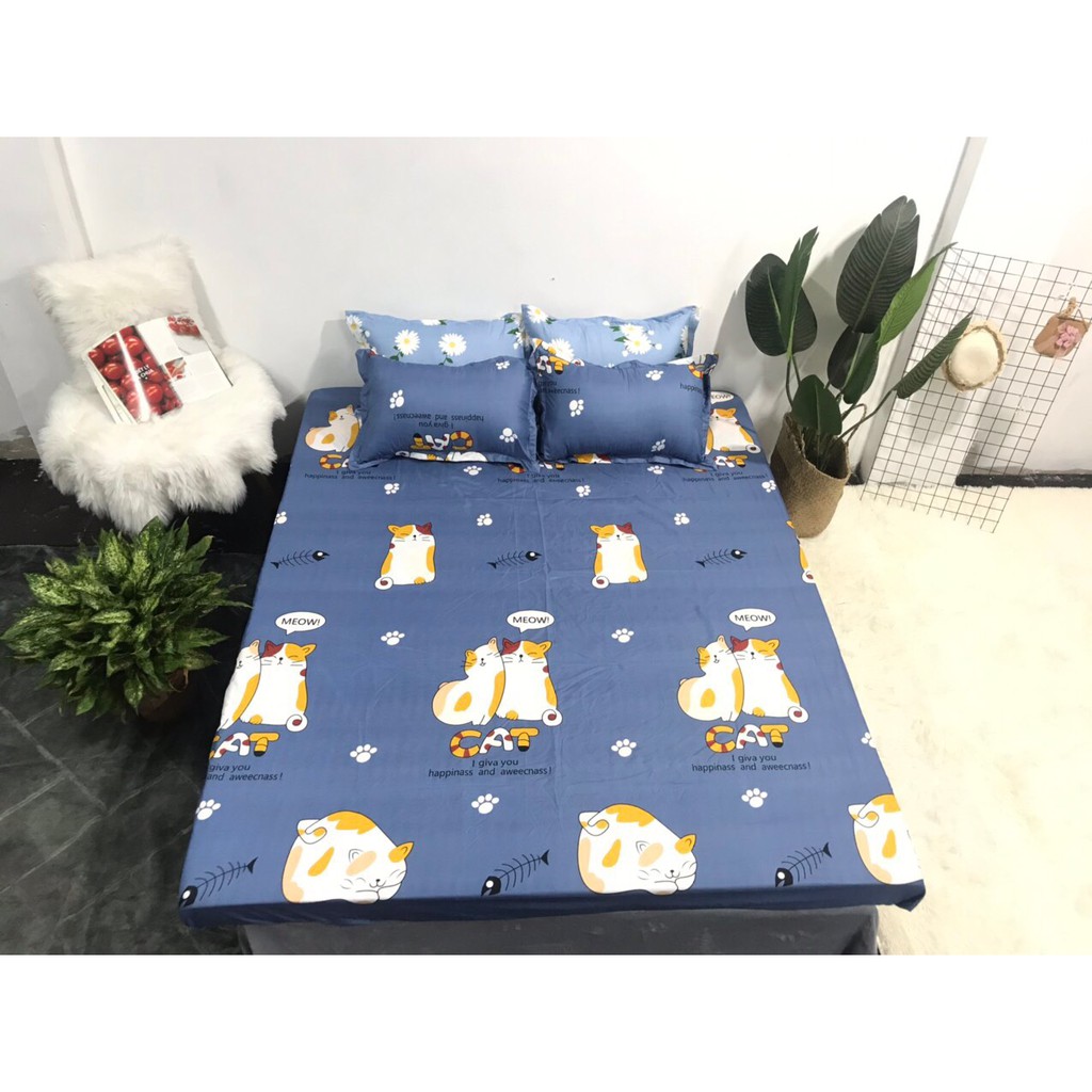 Bộ ga chun và 2 áo gối nằm Emmidecor - mẫu Mèo cát, drap cotton poly