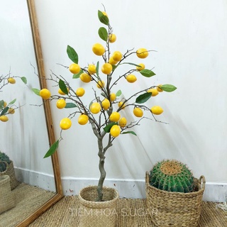 Cây chanh giả cao cấp decor giống thật 99%