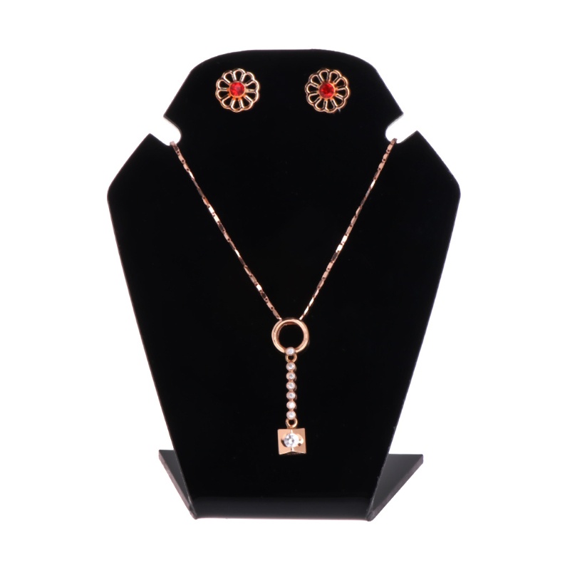 1 Set Giá Đỡ Trưng Bày Bông Tai Bằng Acrylic Chuyên Nghiệp