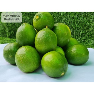 Chanh vườn miền Tây - 1kg