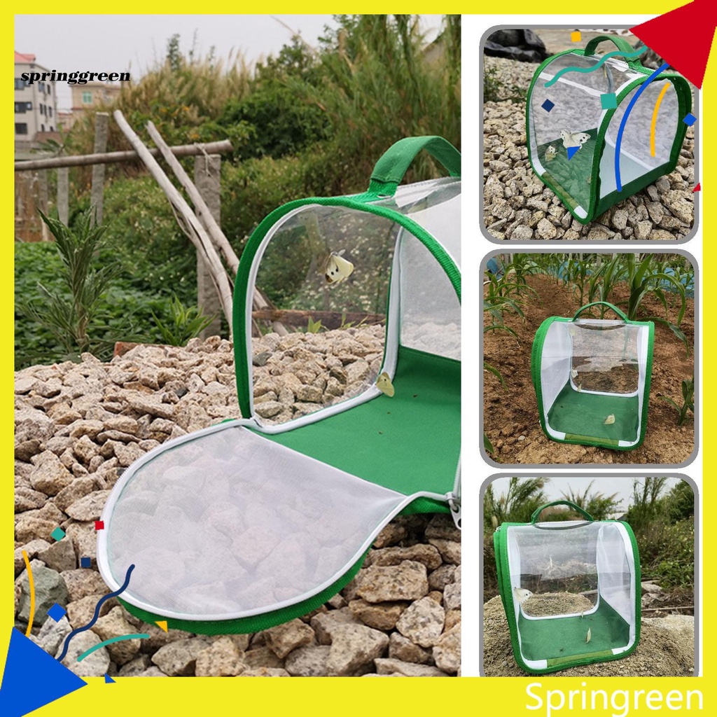 Lồng Lưới Bươm Bướm Chuyên Dụng Cho Tham Gia Các Hoạt Động Ngoài Trời