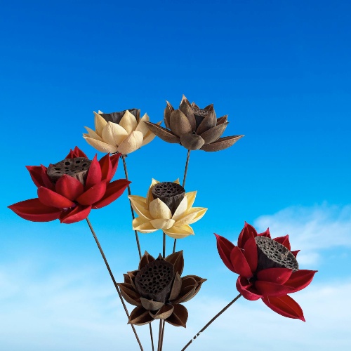 Hoa Sen Gỗ Khô Có Nhụy❤️FREESHIP❤️ Decor trang trí Vintage